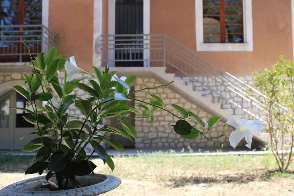 Apartament La Provencale Uzès Zewnętrze zdjęcie